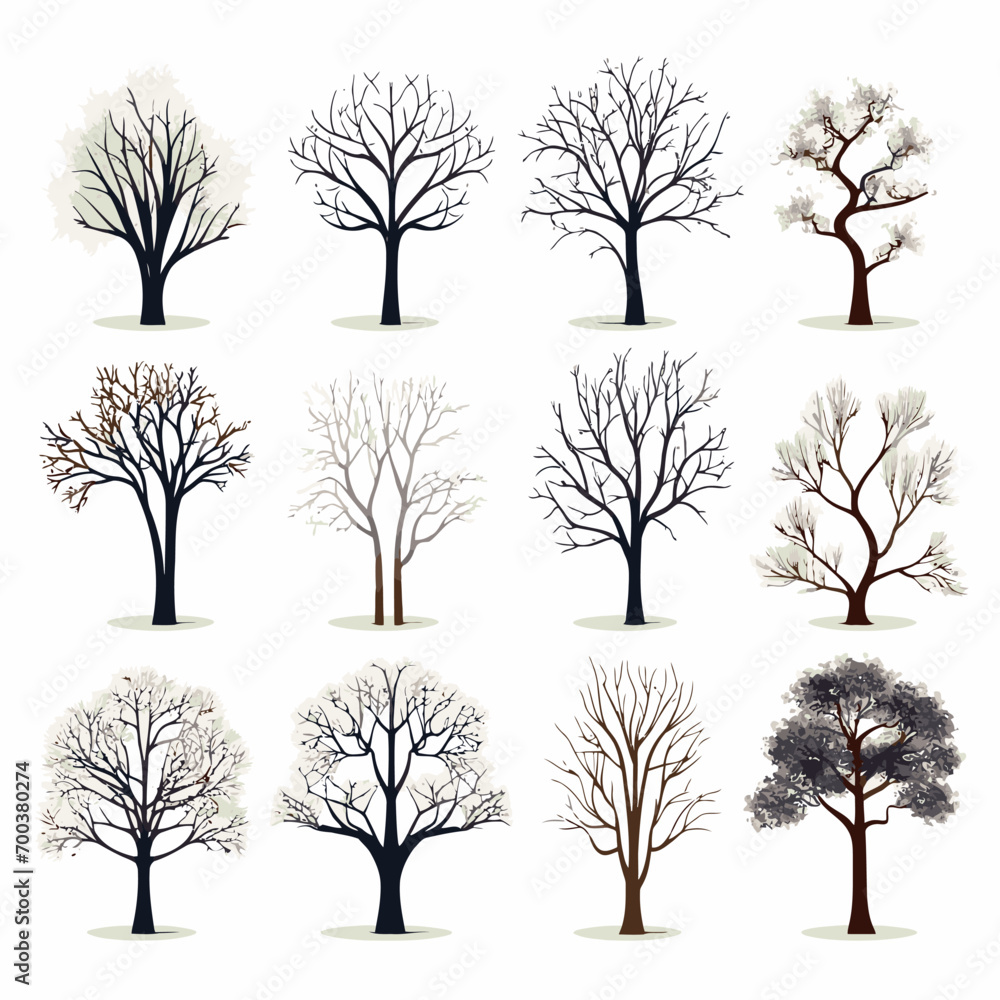 Obraz premium winter tree bare trees collection