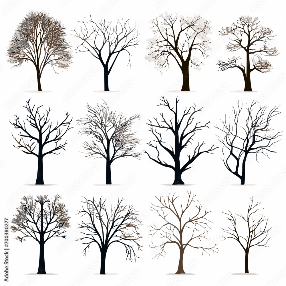 Obraz premium winter tree bare trees collection
