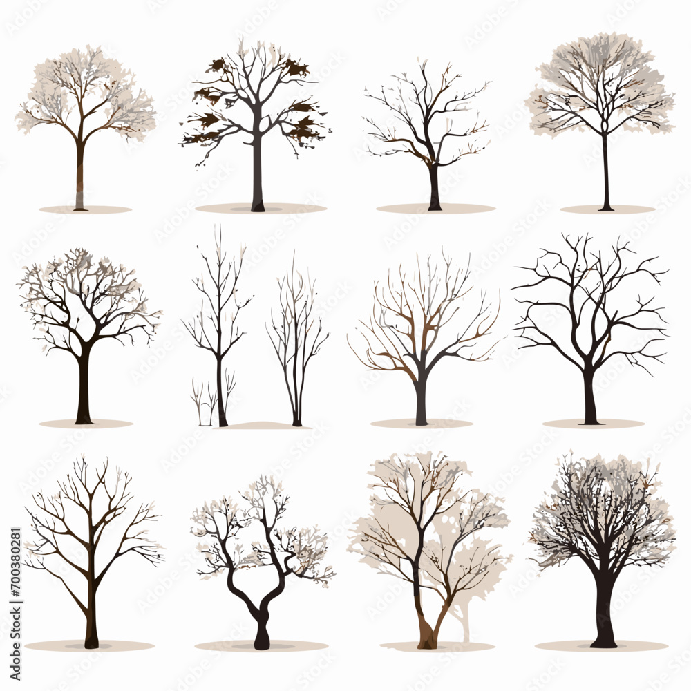 Obraz premium winter tree bare trees collection