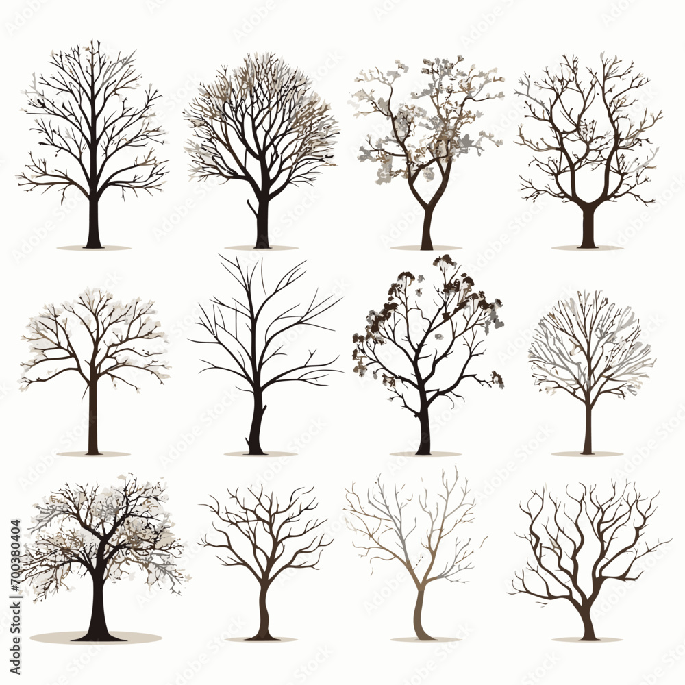 Obraz premium winter tree bare trees collection