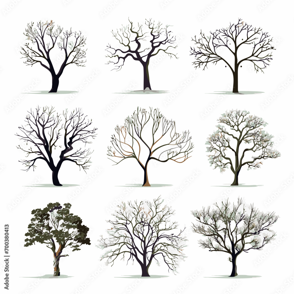 Obraz premium Vector winter bare tree collection