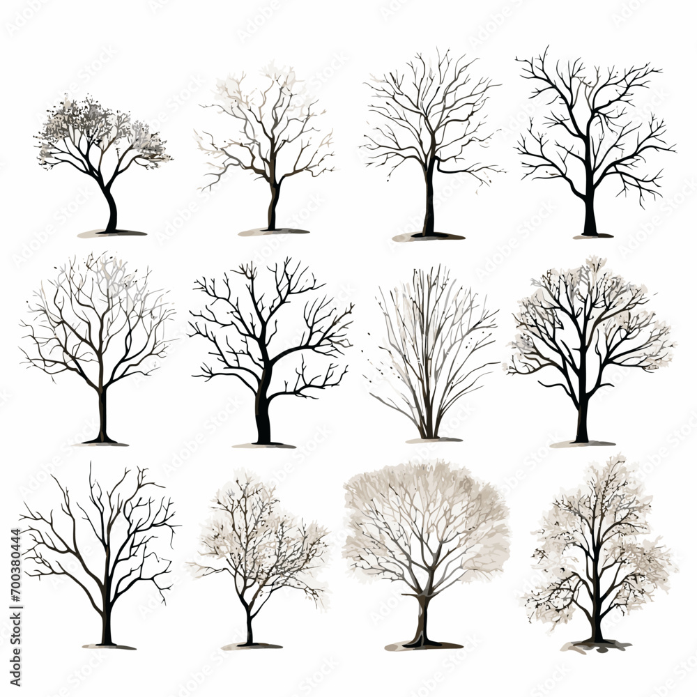 Obraz premium Vector winter bare tree collection
