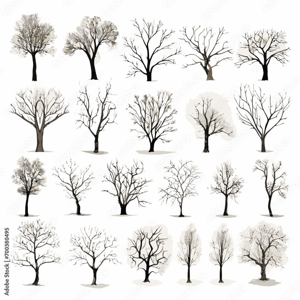 Obraz premium Vector winter bare tree collection
