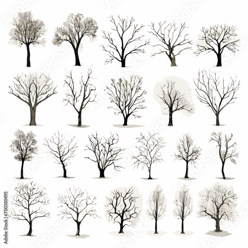 Vector winter bare tree collection
