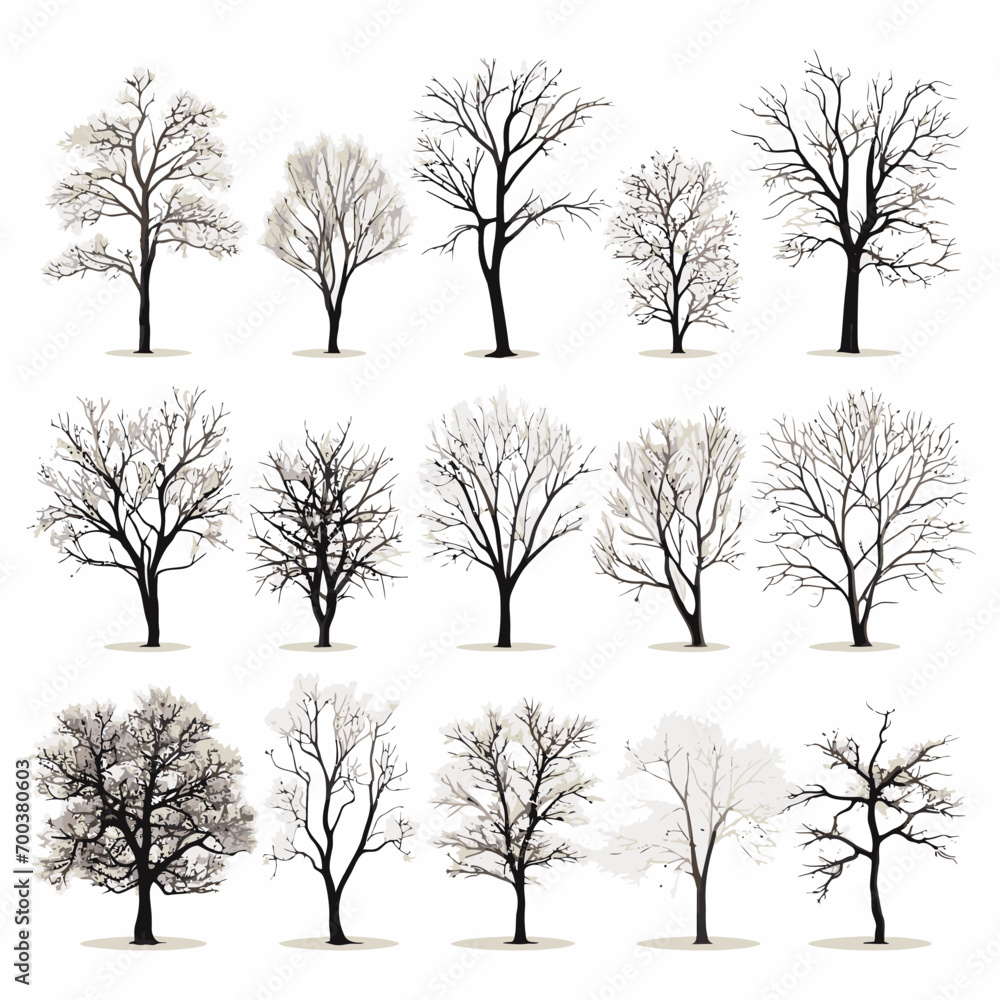Obraz premium Vector winter bare tree collection