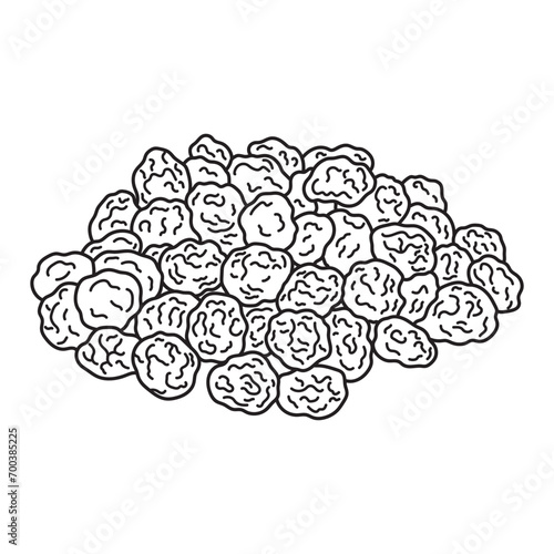 Hand drawn Kids drawing vector Illustration tiger nuts in a cartoon style Isolated on White Background