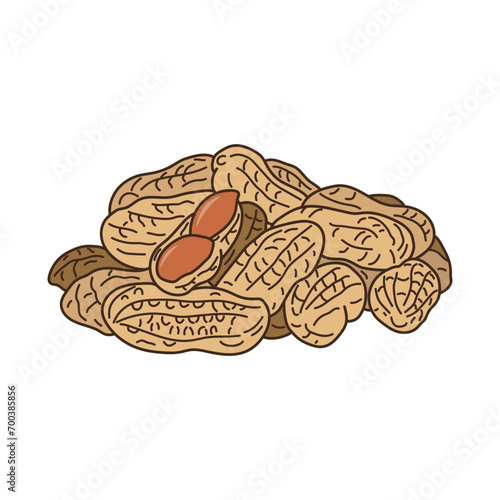 Kids drawing vector Illustration peanuts in a cartoon style Isolated on White Background