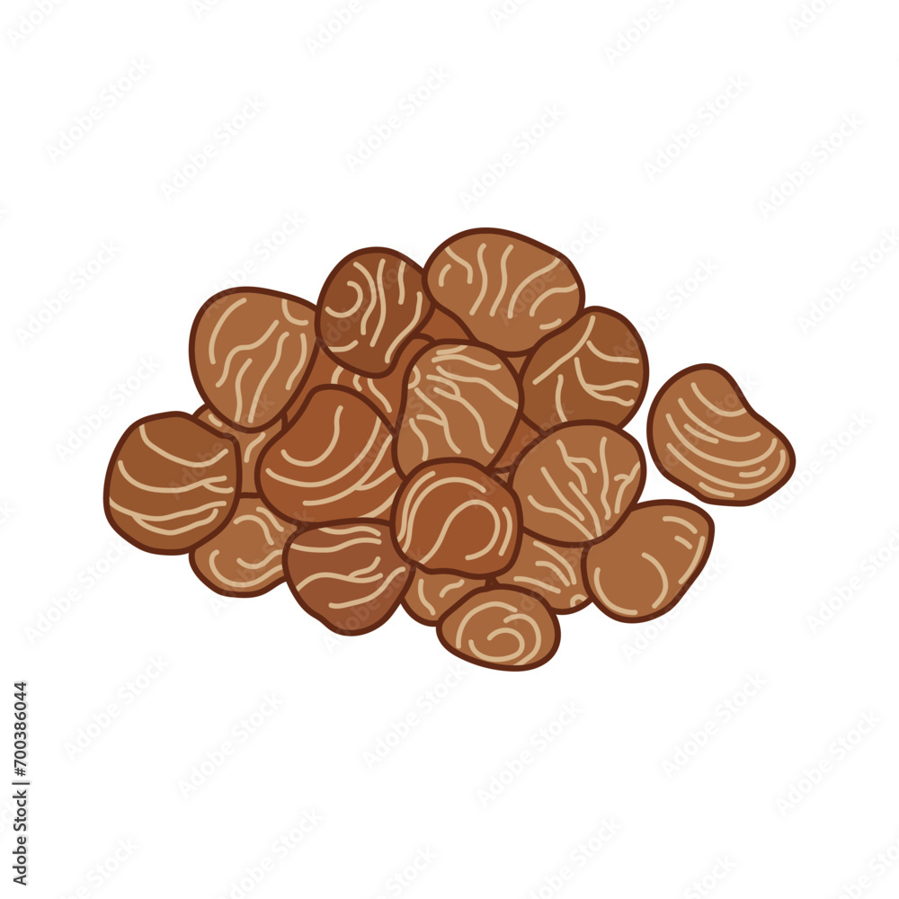 Kids drawing vector Illustration saba nuts in a cartoon style Isolated on White Background Kids drawing vector Illustration saba nuts in a cartoon style Isolated on White Background