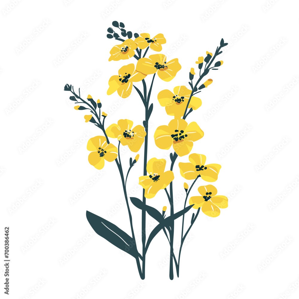 菜の花のベクターイラスト 菜の花のベクターイラスト