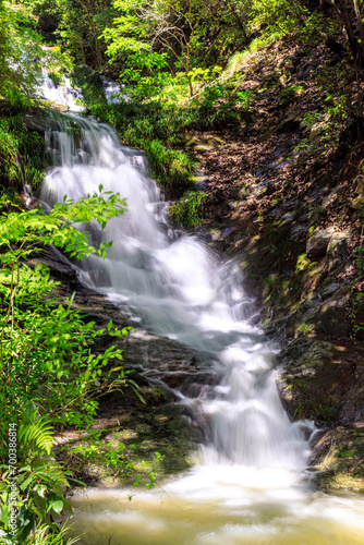 Fototapeta Naklejka Na Ścianę i Meble -  新緑がある美しい滝｜太戸の滝