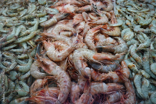 Peixeis Frutos do Mar Camarão