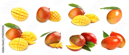 Fresh mango fruits and green leaves isolated on white  set