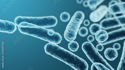 Enterobacteriaceae, gram-negative rod-shaped bacteria, part of intestinal microbiome and causative agents of different infections, 3D rendering. Escherichia coli, Klebsiella, Enterobacter and other