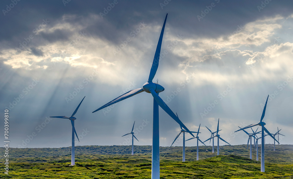 Albany Wind Farm near the town of the same name in Western Australia.