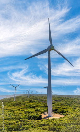 Obraz na płótnie Albany Wind Farm near the town of the same name in Western Australia. w salonie