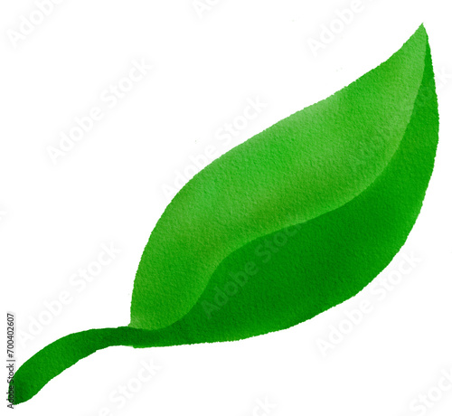 leaf icon water color style, created digitally