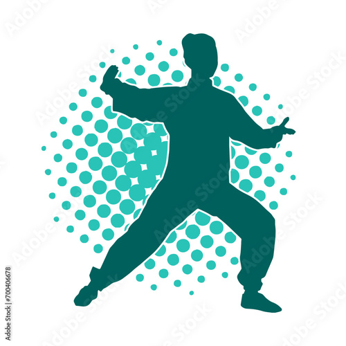 Silhouette of a woman in oriental martial art pose. Silhouette of a female in martial art move.