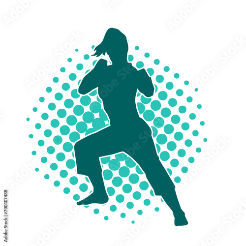 Silhouette of a woman in oriental martial art pose. Silhouette of a female in martial art move.
