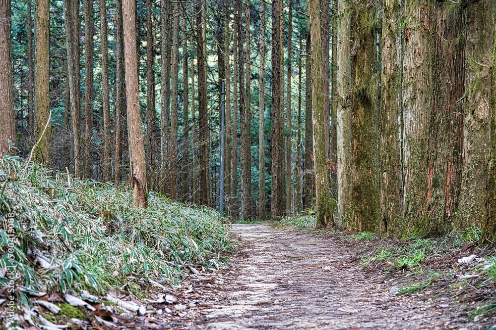 中山道