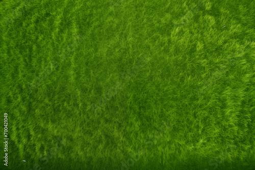 Overhead shot of green empty grass background