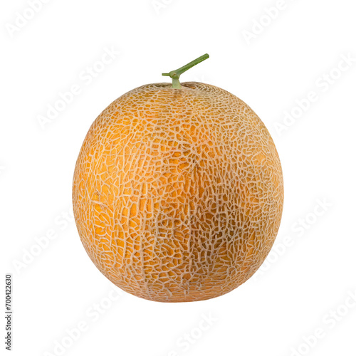 A cantaloupe, with its orange and netted skin and orange and fragrant flesh.