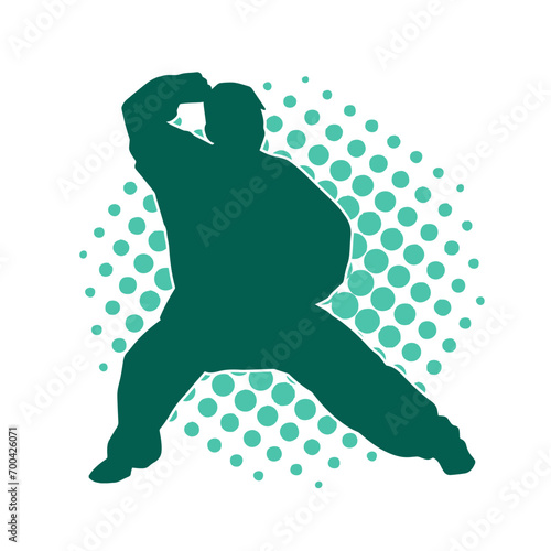 Silhouette of a man in oriental martial art pose. Silhouette of a male in martial art move.
