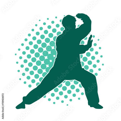 Silhouette of a man in oriental martial art pose. Silhouette of a male in martial art move.