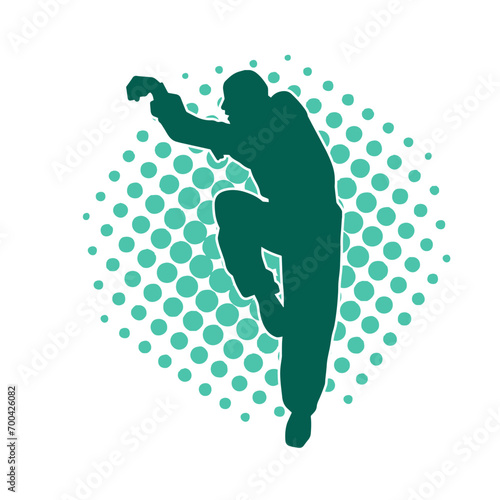 Silhouette of a man in oriental martial art pose. Silhouette of a male in martial art move.