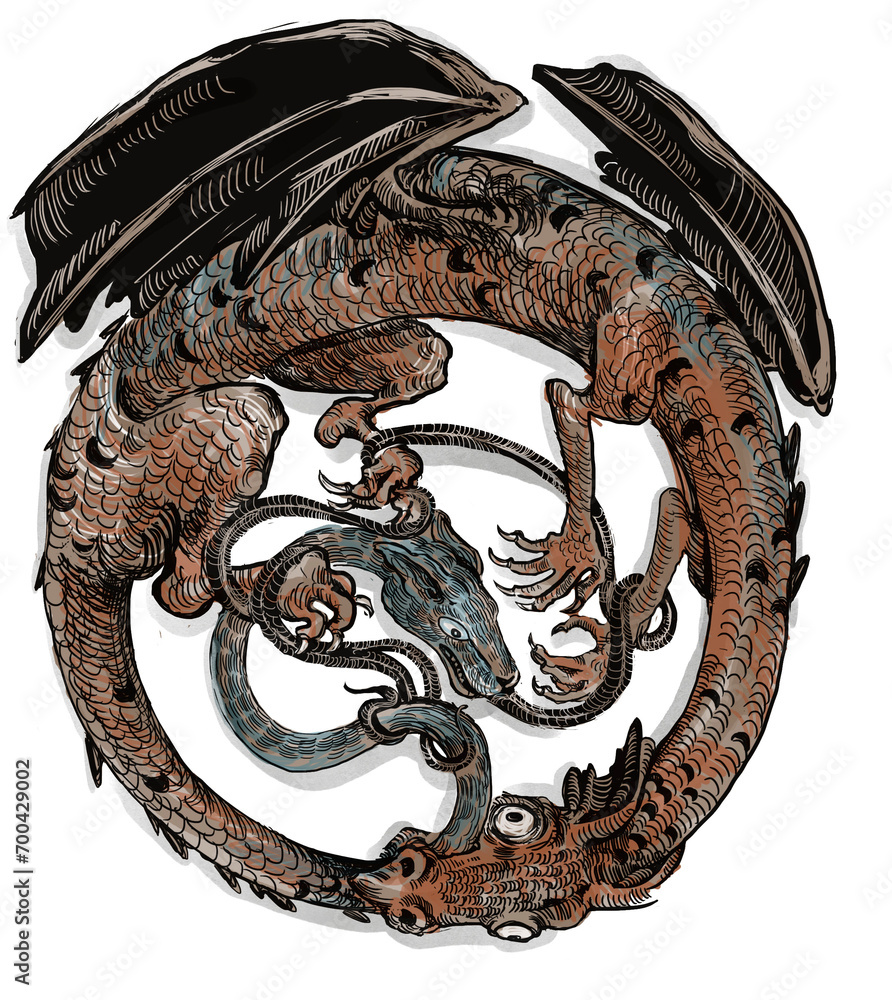 ilustracion digital de uroboro infinito dragon circulo con fondo ...