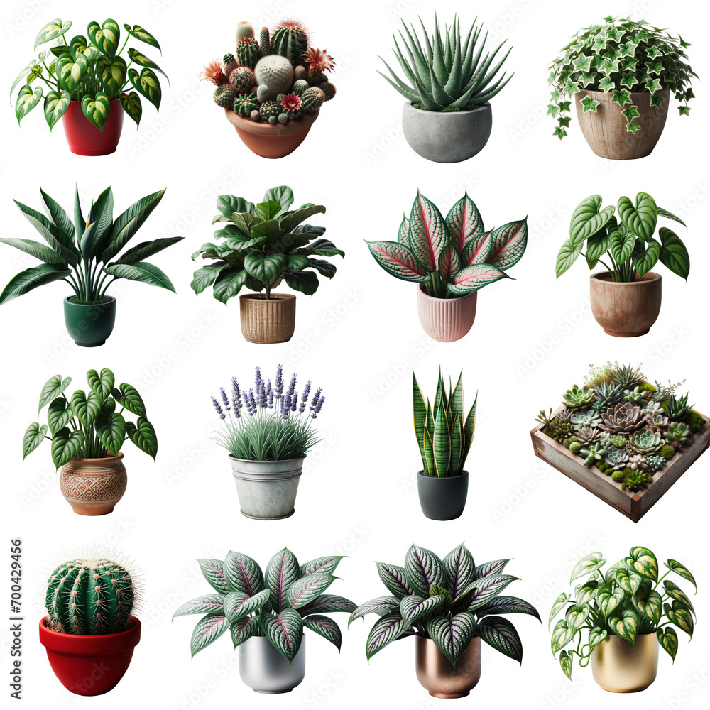 Assorted Indoor Potted Plants Collection on Transparent Background PNG, Ideal for Home Decor and Gardening Assorted Indoor Potted Plants Collection on Transparent Background PNG, Ideal for Home Decor and Gardening