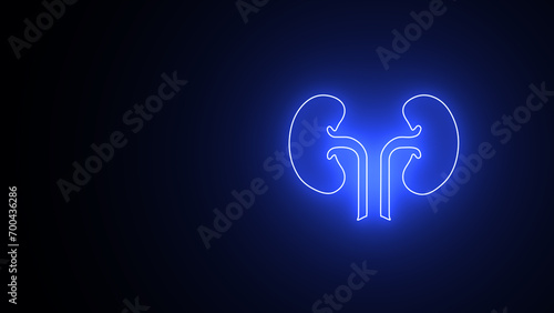 Glowing neon line Human kidney icon isolated on a black background. Neon human kidneys icon. Urinary system part symbol. Medicine icons. photo