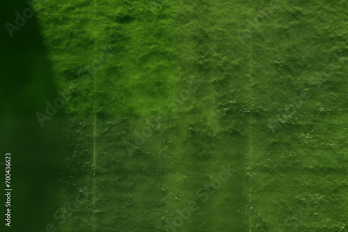 Overhead shot of green empty grass background