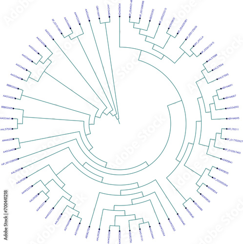 Billede på lærred Mammalian sex-determining region Y protein (SRY) or testis-determining factor (T