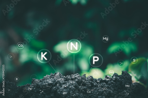Fertile soil contains nitrogen, phosphorus, potassium, and other components which are various micronutrients. that are appropriate and important to plants photo