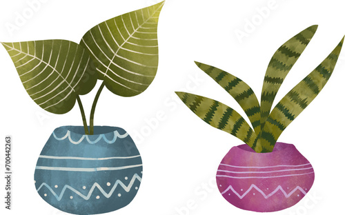 Houseplant on pot watercolor illustration photo