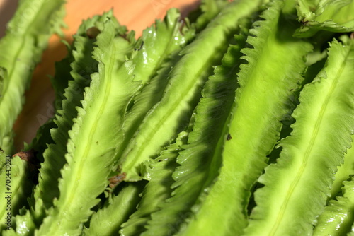 Winged bean on wooden background, Organic vegetable from local market in Southeast Asia. Healthy Green Vegetables photo