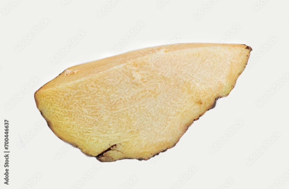 Elephant Foot Yam or Whitespot Giant Arum Cut Piece Isolated on White Background Elephant Foot Yam or Whitespot Giant Arum Cut Piece Isolated on White Background
