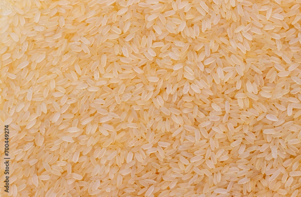 Rice Heap Background with Copy Space in Horizontal Orientation Rice Heap Background with Copy Space in Horizontal Orientation