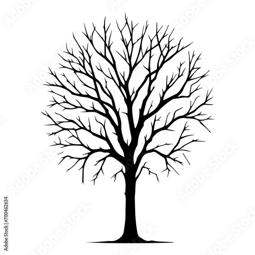 minimal Naked Tree Silhouette vector silhouette, black color silhouette, white background © Big Dream