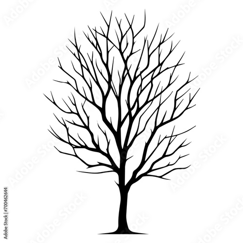minimal Naked Tree Silhouette vector silhouette, black color silhouette, white background © Big Dream