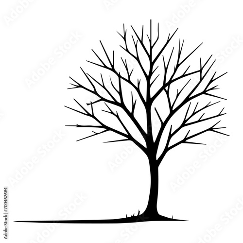 minimal Naked Tree Silhouette vector silhouette, black color silhouette, white background