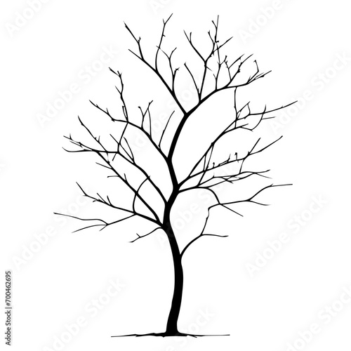 minimal Naked Tree Silhouette vector silhouette, black color silhouette, white background