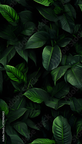 green leaves nature background, closeup leaves texture, tropical leaves, seamless pattern © katobonsai