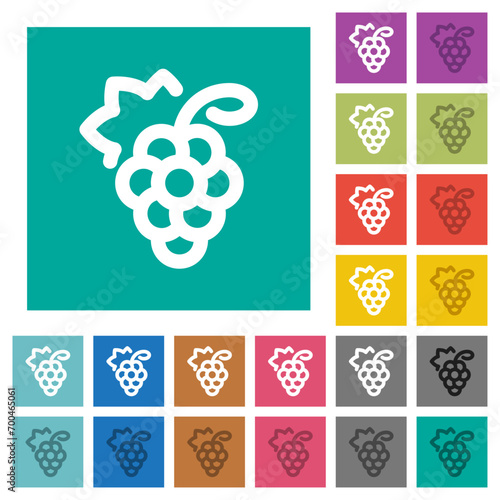 Grapes square flat multi colored icons