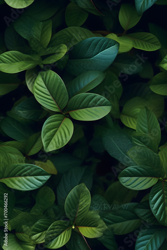 leaves nature background  closeup leaves texture  tropical leaves  seamless pattern