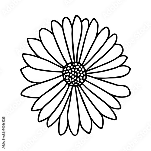 Fototapeta Naklejka Na Ścianę i Meble -  Hand drawn simple flower illustration