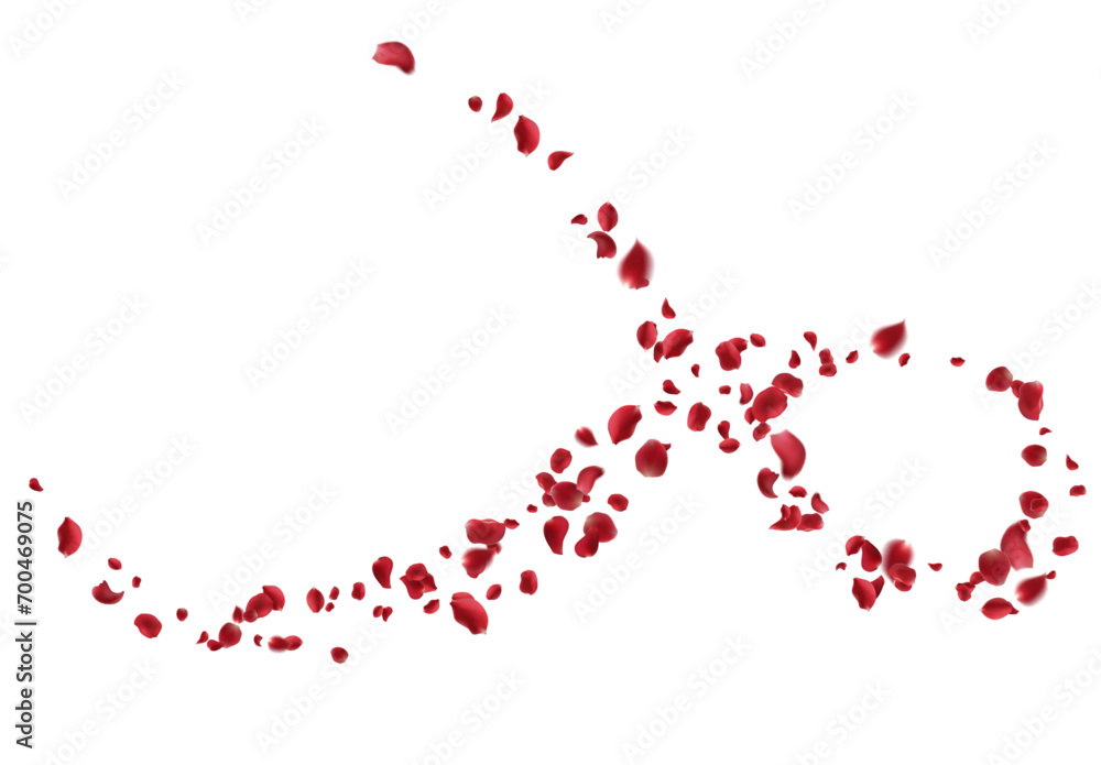 Red rose petals fall to the floor. Isolated vector illustration