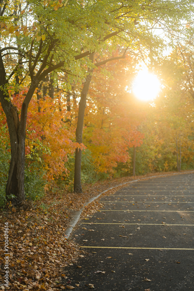 Fototapeta premium Empty parking lot with colorful autumn leaves and sunshine