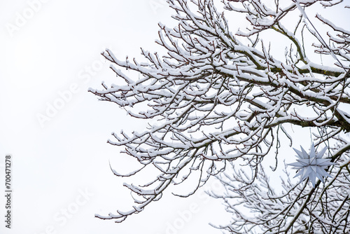 tree branches covered with snow against the background of the natural sky in winter