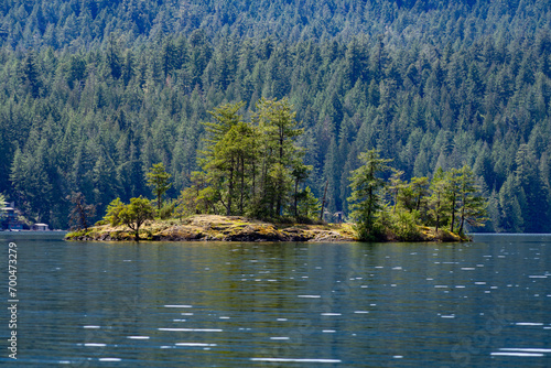 Fototapeta Naklejka Na Ścianę i Meble -  Tiny Green Island with Trees in Calm Bay against Forest Background